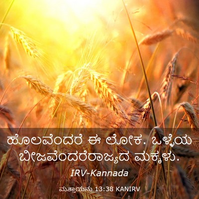 Picture 03 - ಮತ್ತಾಯನು 13:38 KANIRV - ಹೊಲವೆಂದರೆ ಈ ಲೋಕ. - Bible Verse Picture