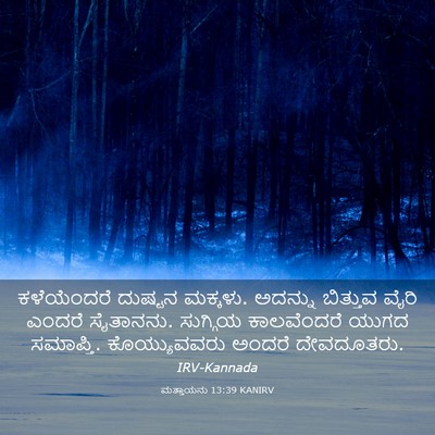 Picture 03 - ಮತ್ತಾಯನು 13:39 KANIRV - ಕಳೆಯೆಂದರೆ ದುಷ್ಟನ - Bible Verse Picture