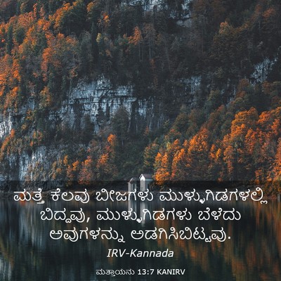 Picture 03 - ಮತ್ತಾಯನು 13:7 KANIRV - ಮತ್ತೆ ಕೆಲವು - Bible Verse Picture