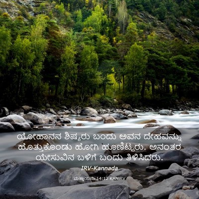 Picture 03 - ಮತ್ತಾಯನು 14:12 KANIRV - ಯೋಹಾನನ ಶಿಷ್ಯರು - Bible Verse Picture