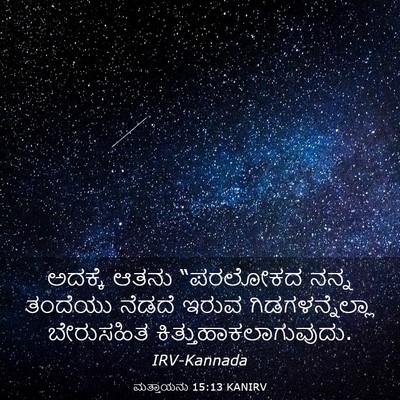 Picture 03 - ಮತ್ತಾಯನು 15:13 KANIRV - ಅದಕ್ಕೆ ಆತನು - Bible Verse Picture