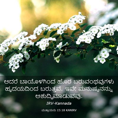 Picture 03 - ಮತ್ತಾಯನು 15:18 KANIRV - ಆದರೆ ಬಾಯೊಳಗಿಂದ - Bible Verse Picture