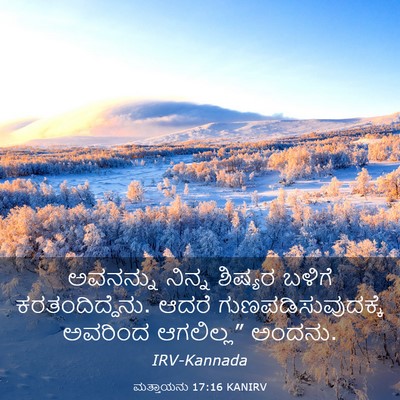 Picture 03 - ಮತ್ತಾಯನು 17:16 KANIRV - ಅವನನ್ನು ನಿನ್ನ - Bible Verse Picture