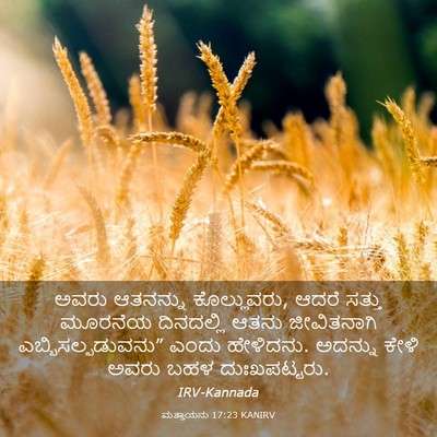 Picture 03 - ಮತ್ತಾಯನು 17:23 KANIRV - ಅವರು ಆತನನ್ನು - Bible Verse Picture