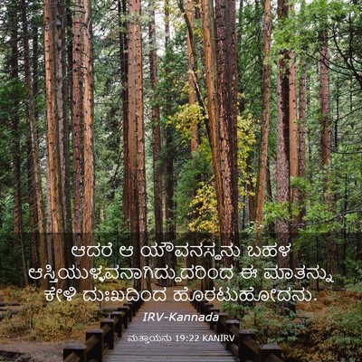 Picture 03 - ಮತ್ತಾಯನು 19:22 KANIRV - ಆದರೆ ಆ ಯೌವನಸ್ಥನು - Bible Verse Picture
