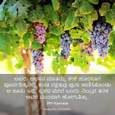 Picture 03 - ಮತ್ತಾಯನು 2:9 KANIRV - ಅವರು ಅರಸನ ಮಾತನ್ನು - Bible Verse Picture