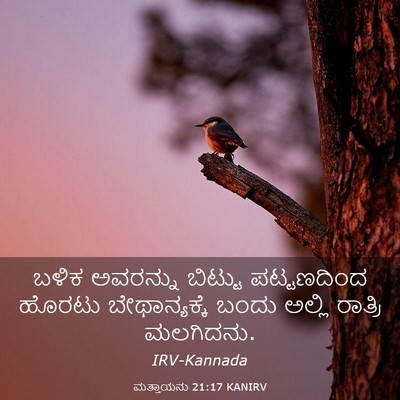 Picture 03 - ಮತ್ತಾಯನು 21:17 KANIRV - ಬಳಿಕ ಅವರನ್ನು - Bible Verse Picture