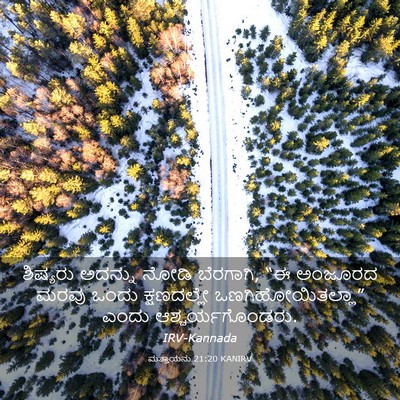 Picture 03 - ಮತ್ತಾಯನು 21:20 KANIRV - ಶಿಷ್ಯರು ಅದನ್ನು - Bible Verse Picture