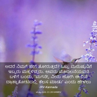 Picture 03 - ಮತ್ತಾಯನು 21:28 KANIRV - ಆದರೆ ನಿಮಗೆ ಹೇಗೆ - Bible Verse Picture