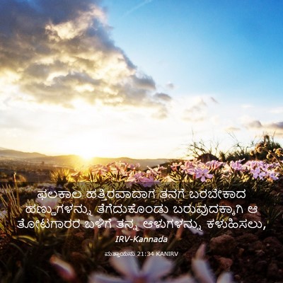 Picture 03 - ಮತ್ತಾಯನು 21:34 KANIRV - ಫಲಕಾಲ ಹತ್ತಿರವಾದಾಗ - Bible Verse Picture