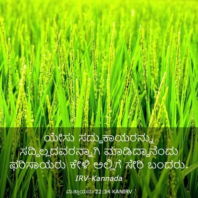 Picture 03 - ಮತ್ತಾಯನು 22:34 KANIRV - ಯೇಸು - Bible Verse Picture