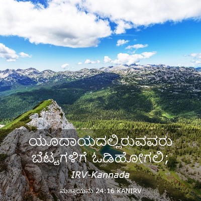 Picture 03 - ಮತ್ತಾಯನು 24:16 KANIRV - ಯೂದಾಯದಲ್ಲಿರುವವರು - Bible Verse Picture