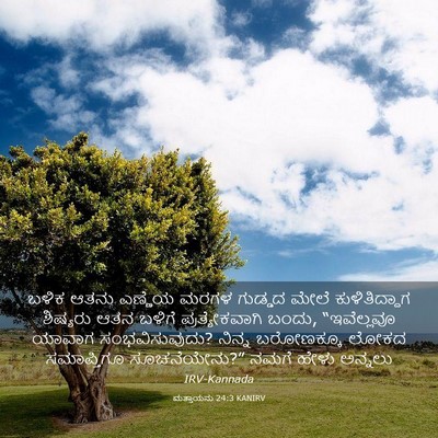 Picture 03 - ಮತ್ತಾಯನು 24:3 KANIRV - ಬಳಿಕ ಆತನು ಎಣ್ಣೆಯ - Bible Verse Picture