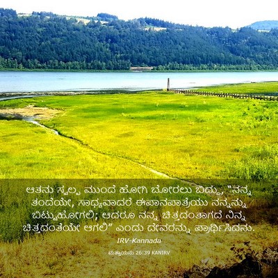 Picture 03 - ಮತ್ತಾಯನು 26:39 KANIRV - ಆತನು ಸ್ವಲ್ಪ ಮುಂದೆ - Bible Verse Picture