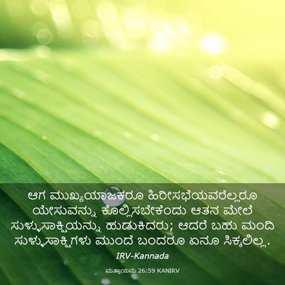 Picture 03 - ಮತ್ತಾಯನು 26:59 KANIRV - ಆಗ ಮುಖ್ಯಯಾಜಕರೂ - Bible Verse Picture
