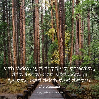 Picture 03 - ಮತ್ತಾಯನು 26:7 KANIRV - ಬಹು ಬೆಲೆಯುಳ್ಳ - Bible Verse Picture
