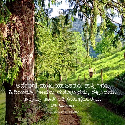 Picture 03 - ಮತ್ತಾಯನು 27:41 KANIRV - ಅದೇ ರೀತಿ - Bible Verse Picture