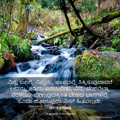 Picture 03 - ಮತ್ತಾಯನು 5:30 KANIRV - ನಿನ್ನ ಬಲಗೈ - Bible Verse Picture