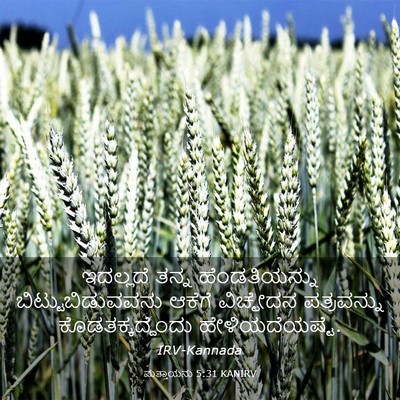 Picture 03 - ಮತ್ತಾಯನು 5:31 KANIRV - ಇದಲ್ಲದೆ ತನ್ನ - Bible Verse Picture