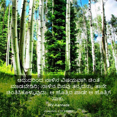 Picture 03 - ಮತ್ತಾಯನು 6:34 KANIRV - ಆದುದರಿಂದ ನಾಳಿನ - Bible Verse Picture