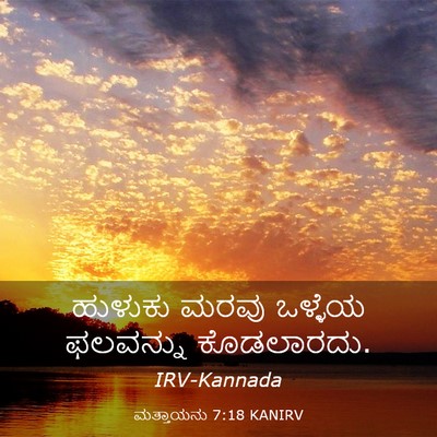 Picture 03 - ಮತ್ತಾಯನು 7:18 KANIRV - ಹುಳುಕು ಮರವು - Bible Verse Picture