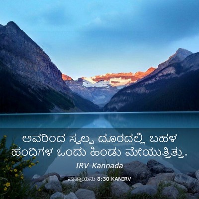 Picture 03 - ಮತ್ತಾಯನು 8:30 KANIRV - ಅವರಿಂದ ಸ್ವಲ್ಪ - Bible Verse Picture