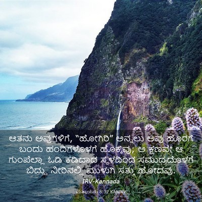Picture 03 - ಮತ್ತಾಯನು 8:32 KANIRV - ಆತನು ಅವುಗಳಿಗೆ, - Bible Verse Picture