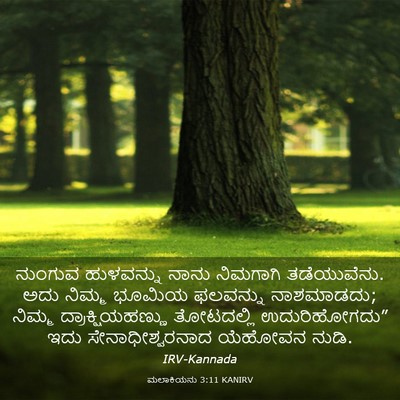 Picture 03 - ಮಲಾಕಿಯನು 3:11 KANIRV - ನುಂಗುವ ಹುಳವನ್ನು - Bible Verse Picture