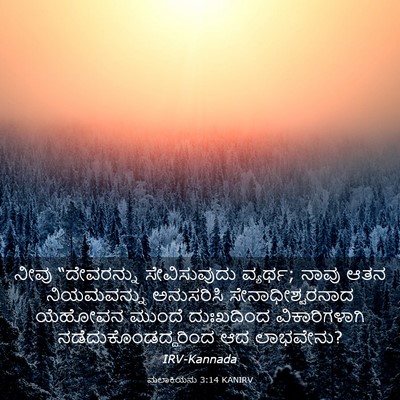 Picture 03 - ಮಲಾಕಿಯನು 3:14 KANIRV - ನೀವು “ದೇವರನ್ನು - Bible Verse Picture
