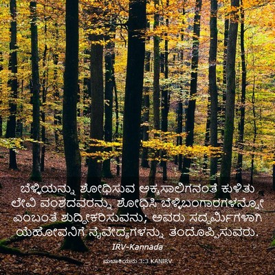 Picture 03 - ಮಲಾಕಿಯನು 3:3 KANIRV - ಬೆಳ್ಳಿಯನ್ನು - Bible Verse Picture