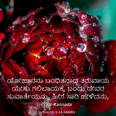 Picture 03 - ಮಾರ್ಕನು 1:14 KANIRV - ಯೋಹಾನನು ಬಂಧಿತನಾದ - Bible Verse Picture