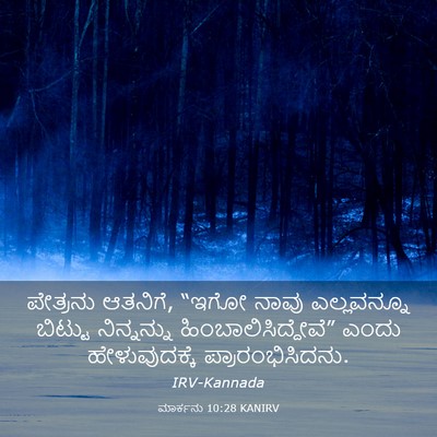 Picture 03 - ಮಾರ್ಕನು 10:28 KANIRV - ಪೇತ್ರನು ಆತನಿಗೆ, - Bible Verse Picture