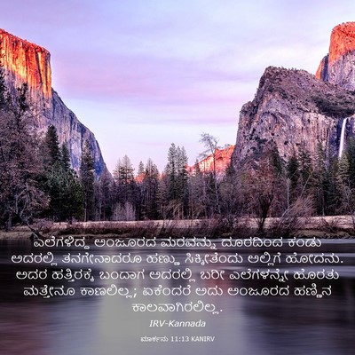 Picture 03 - ಮಾರ್ಕನು 11:13 KANIRV - ಎಲೆಗಳಿದ್ದ ಅಂಜೂರದ - Bible Verse Picture
