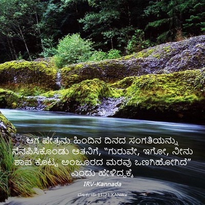 Picture 03 - ಮಾರ್ಕನು 11:21 KANIRV - ಆಗ ಪೇತ್ರನು ಹಿಂದಿನ - Bible Verse Picture