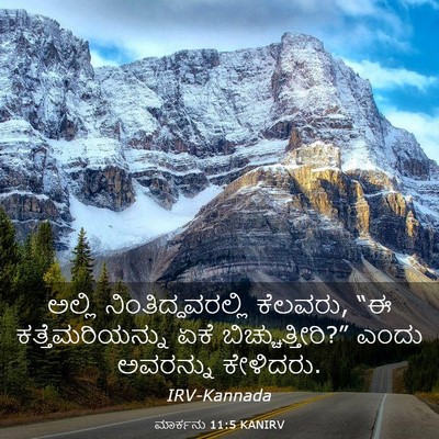 Picture 03 - ಮಾರ್ಕನು 11:5 KANIRV - ಅಲ್ಲಿ - Bible Verse Picture