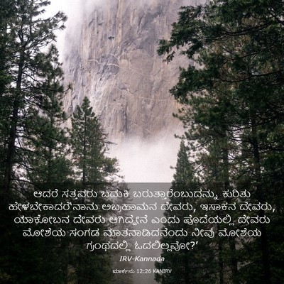 Picture 03 - ಮಾರ್ಕನು 12:26 KANIRV - ಆದರೆ ಸತ್ತವರು - Bible Verse Picture