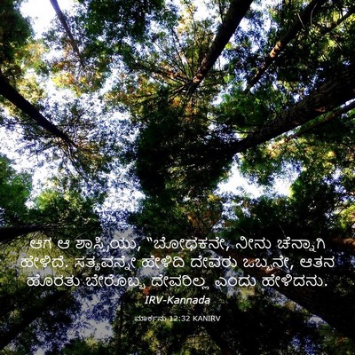 Picture 03 - ಮಾರ್ಕನು 12:32 KANIRV - ಆಗ ಆ ಶಾಸ್ತ್ರಿಯು, - Bible Verse Picture