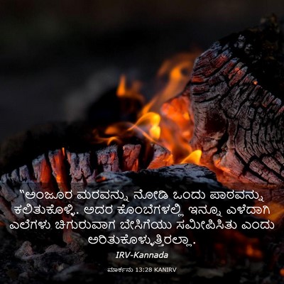 Picture 03 - ಮಾರ್ಕನು 13:28 KANIRV - “ಅಂಜೂರ ಮರವನ್ನು - Bible Verse Picture