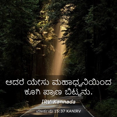 Picture 03 - ಮಾರ್ಕನು 15:37 KANIRV - ಆದರೆ ಯೇಸು - Bible Verse Picture