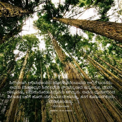 Picture 03 - ಮಾರ್ಕನು 15:43 KANIRV - ಹೀಗಿರಲಾಗಿ - Bible Verse Picture