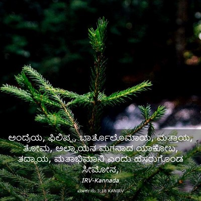 Picture 03 - ಮಾರ್ಕನು 3:18 KANIRV - ಅಂದ್ರೆಯ, ಫಿಲಿಪ್ಪ, - Bible Verse Picture