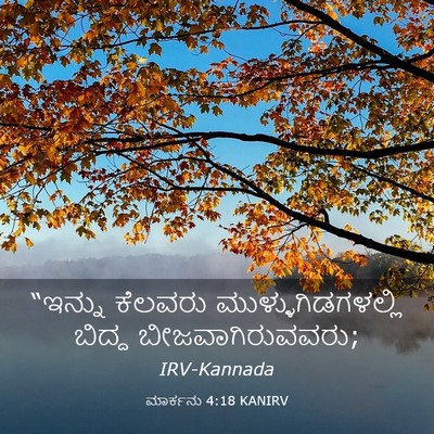 Picture 03 - ಮಾರ್ಕನು 4:18 KANIRV - “ಇನ್ನು ಕೆಲವರು - Bible Verse Picture