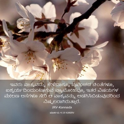 Picture 03 - ಮಾರ್ಕನು 4:19 KANIRV - ಇವರು ವಾಕ್ಯವನ್ನು - Bible Verse Picture