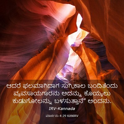 Picture 03 - ಮಾರ್ಕನು 4:29 KANIRV - ಆದರೆ ಫಲಮಾಗಿದಾಗ - Bible Verse Picture
