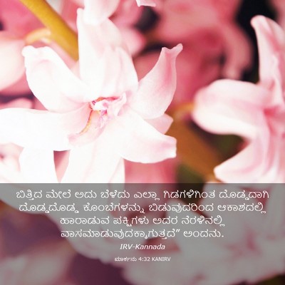 Picture 03 - ಮಾರ್ಕನು 4:32 KANIRV - ಬಿತ್ತಿದ ಮೇಲೆ ಅದು - Bible Verse Picture
