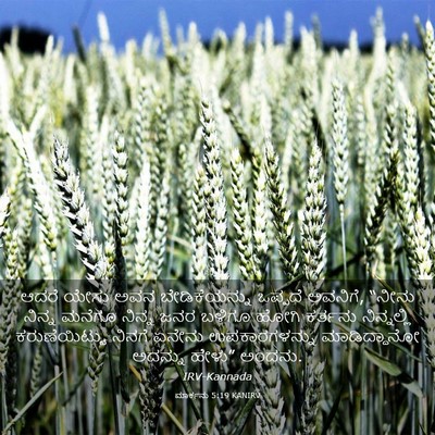Picture 03 - ಮಾರ್ಕನು 5:19 KANIRV - ಆದರೆ ಯೇಸು ಅವನ - Bible Verse Picture