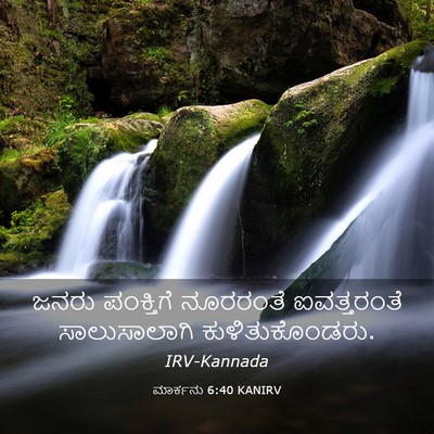 Picture 03 - ಮಾರ್ಕನು 6:40 KANIRV - ಜನರು ಪಂಕ್ತಿಗೆ - Bible Verse Picture