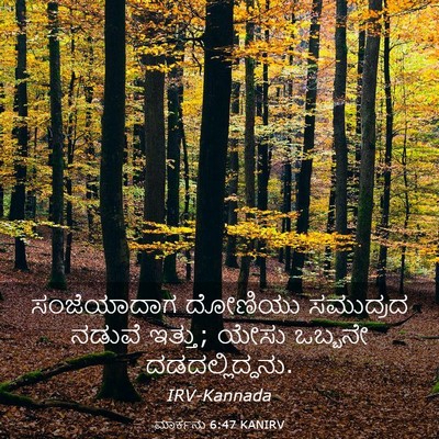 Picture 03 - ಮಾರ್ಕನು 6:47 KANIRV - ಸಂಜೆಯಾದಾಗ ದೋಣಿಯು - Bible Verse Picture