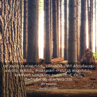 Picture 03 - ಮಾರ್ಕನು 9:20 KANIRV - ಆಗ ಅವರು ಆ - Bible Verse Picture