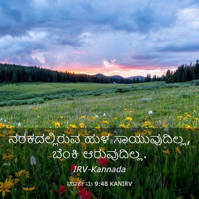 Picture 03 - ಮಾರ್ಕನು 9:48 KANIRV - ನರಕದಲ್ಲಿರುವ ಹುಳ - Bible Verse Picture